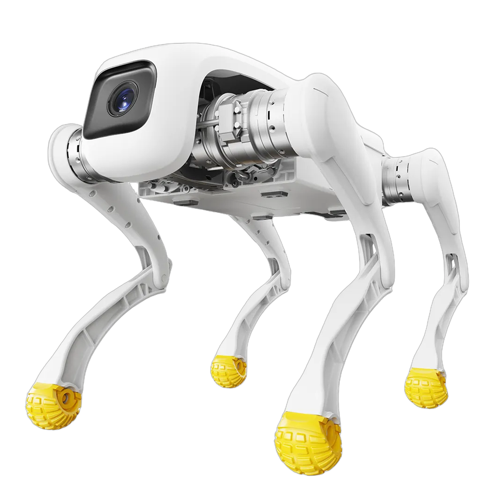 D1 Edu