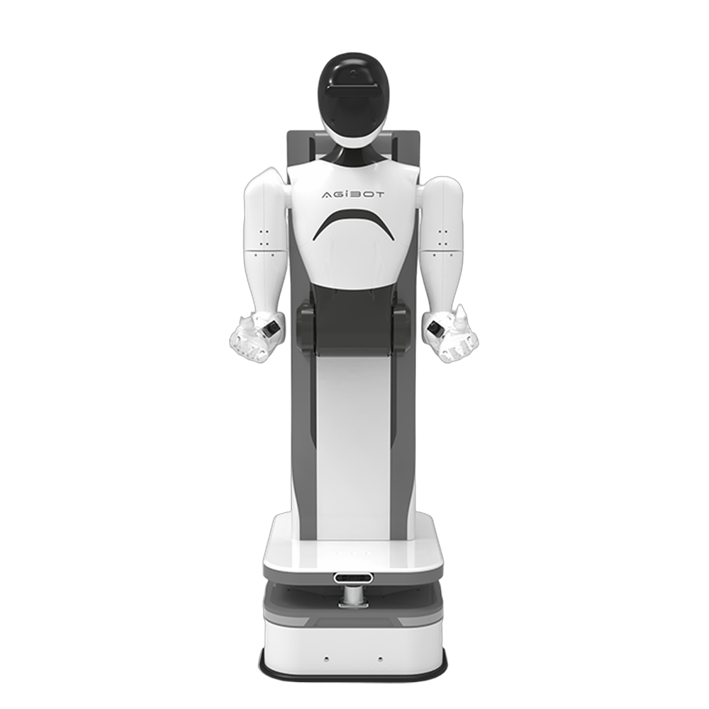 AgiBot G1