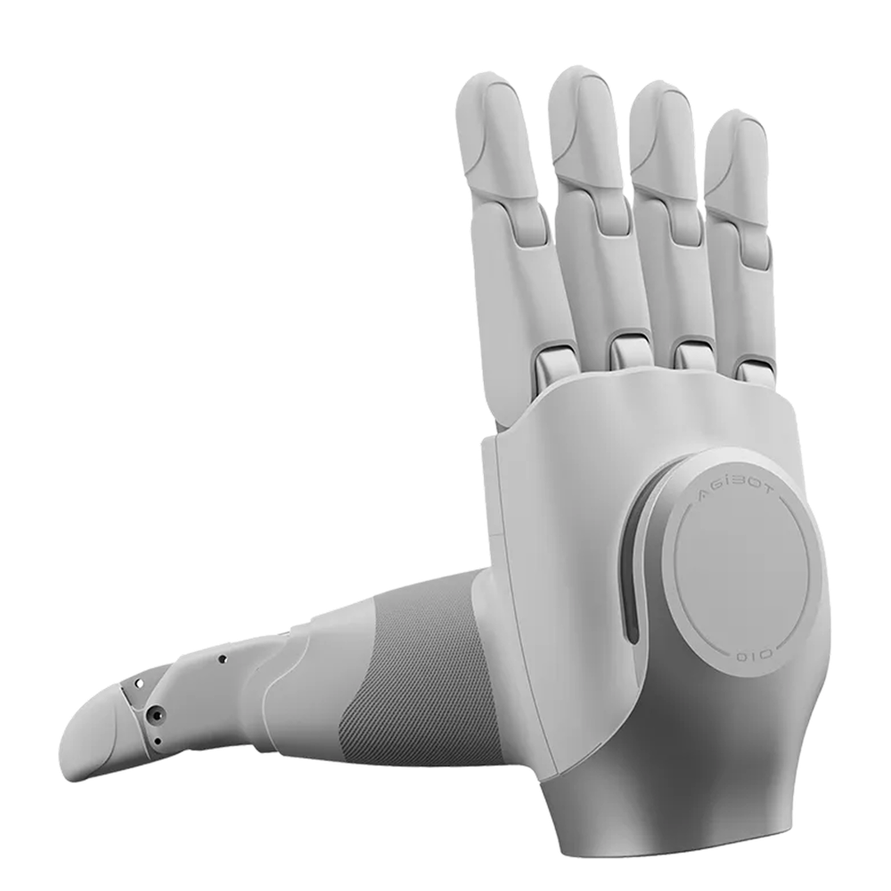 OmniHand 2025